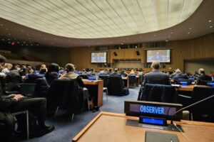 United Nations Thirc Committee welcomes Youth