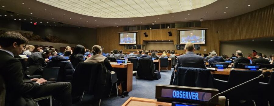 United Nations Thirc Committee welcomes Youth